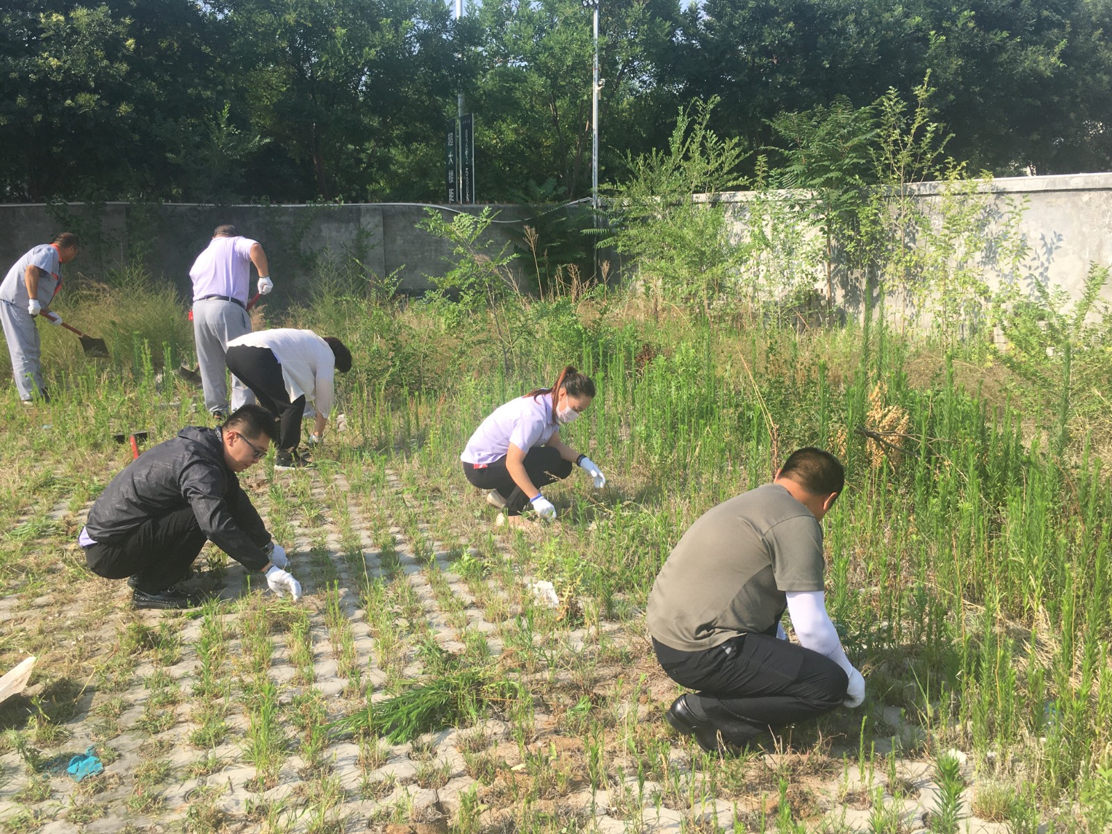 15545738.jpg 15545738.jpg