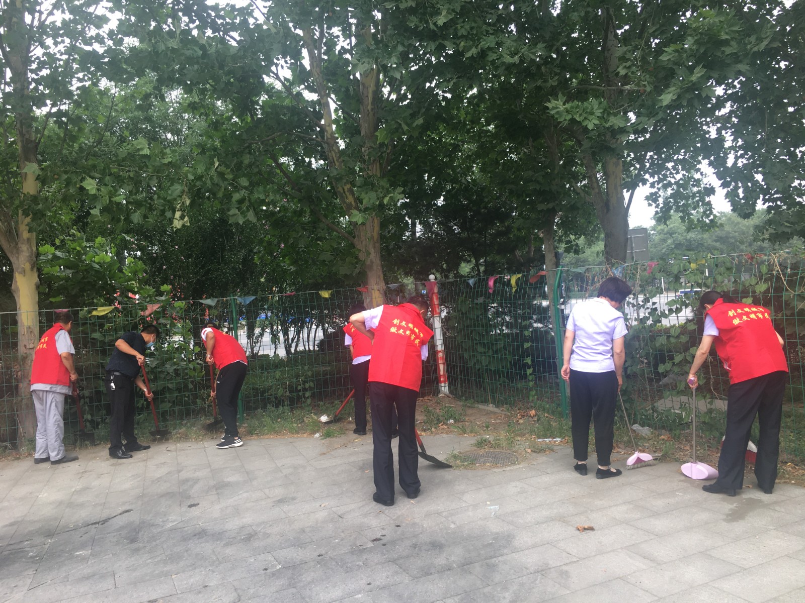 71402762.jpg 71402762.jpg